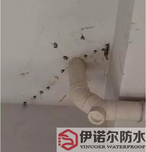 虎丘蘇州防水工程的基本內(nèi)容是什么？